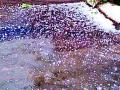 गारपीटग्रस्तांची पुन्हा निराशा - Marathi News | Hail again disappointment of hailstorm | Latest bhandara News at Lokmat.com