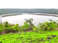 लोणार सरोवराच्या पाण्याचा रंग पुर्ववत - Marathi News | color of Lonar Lake water become normal | Latest buldhana News at Lokmat.com