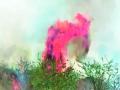 चंद्रपूर वीज केंद्राच्या जंगल परिसरात आगीचे तांडव - Marathi News | Fire orange in the forest area of Chandrapur power station | Latest chandrapur News at Lokmat.com