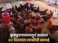 poultry business: कुक्कुटपालनाला अच्छे दिन, अवघ्या ४२ दिवसात या शेतकऱ्याला मिळाले लाखो... - Marathi News | Poultry business: Good days for poultry farming, this farmer got lakhs in just 42 days... | Latest agriculture News at Lokmat.com