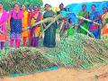 गडचिरोलीचा दोन ट्रक झाडू पोहोचला नागपुरात - Marathi News |  Two trucks in Gadchiroli reach broom in Nagpur | Latest gadchiroli News at Lokmat.com