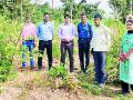शेतकऱ्यांनी बांबू लागवड करावी - Marathi News | Farmers should plant bamboo | Latest gadchiroli News at Lokmat.com