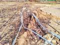 शेतातील वीज तारांमुळे नुकसान - Marathi News | Damage due to electricity in the field | Latest gadchiroli News at Lokmat.com