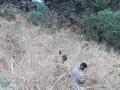 इगतपुरी तालुक्यात तीन अपघातात दोघे ठार - Marathi News | Two killed in three accidents in Igatpuri taluka | Latest nashik News at Lokmat.com