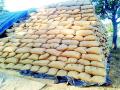 फेडरेशनचे १६० गोदाम फुल्ल खरेदी ठप्प होण्याच्या मार्गावर - Marathi News | Federation's 160 warehouses on the way to full blown buying | Latest gondia News at Lokmat.com
