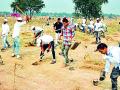 फक्त एक लाख खड्डे खोदले - Marathi News | Dug only one million pits | Latest gondia News at Lokmat.com