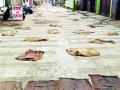 हनुमान चौक रस्त्याचे बांधकाम निकृष्ट दर्जाचे - Marathi News | Construction of Hanuman Chowk road is of low quality | Latest gondia News at Lokmat.com