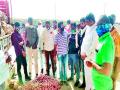 गोणीतून कांदा लिलावास पिंपळगावी शेतकऱ्यांचा प्रतिसाद - Marathi News | Farmers' response to onion auction from Goni | Latest nashik News at Lokmat.com