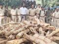 नवापूर तालुक्यातून अवैध लाकूड जप्त - Marathi News | Illegal wood seized from Navapur taluka | Latest nandurbar News at Lokmat.com