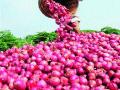 अभोणा बाजारात कांदा दरात वाढ - Marathi News | Increase in onion prices in Abhona market | Latest nashik News at Lokmat.com