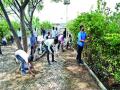 अंगणगावचा बोटिंग क्लब चकाचक - Marathi News | Botanical Club of Angandagan; | Latest nashik News at Lokmat.com