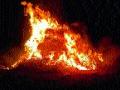 ठाणगावला चाऱ्याच्या गंजीस आग - Marathi News | Balmy fire | Latest nashik News at Lokmat.com