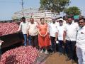 विंचूरला नाफेडमार्फत कांदा खरेदी - Marathi News | Vinchur buys onions through NAFED | Latest nashik News at Lokmat.com