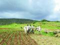औरंगाबाद जिल्ह्याची नजर आभाळाकडे - Marathi News | The Aurangabad district is in sight of the sky | Latest chhatrapati-sambhajinagar News at Lokmat.com