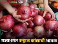 Onion Market : नाशिक बाजार समितीत उन्हाळ कांद्याला काय भाव मिळाला? जाणून घ्या आजचे दर  - Marathi News | Latest News 03 april 2024 todays onion market price in nashik and maharashtra | Latest agriculture News at Lokmat.com