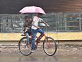 ढगाळ वातावरणासह पाऊस, थंड वाऱ्यांमुळे वातावरणात गारठा - Marathi News | Rain with cloudy weather, hail in cold weather due to cold winds | Latest kolhapur News at Lokmat.com