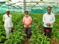 अकोळनेरला हवी किसान रेल, कार्गो विमान सेवा - Marathi News | Akolner needs Kisan Rail, Cargo Airlines | Latest ahilyanagar News at Lokmat.com
