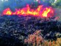 पिकाला लावली आग - Marathi News | Picla fire | Latest chandrapur News at Lokmat.com