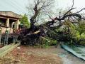 जिल्ह्याला वादळी पावसाचा तडाखा - Marathi News | The storm hits the district | Latest chandrapur News at Lokmat.com