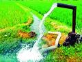अधिकच्या वीज बिलाने शेतकरी चक्रावले - Marathi News | Farmers were baffled by higher electricity bills | Latest gadchiroli News at Lokmat.com