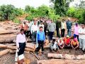 विहीरगावात पकडले २० लाखांचे सागवान - Marathi News | 20 lakh teak seized in Vihirgaon | Latest gadchiroli News at Lokmat.com