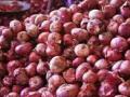 पावसामुळे बटाटा तेजीत... निर्यात बंदमुळे कांदा घसरला - Marathi News | Potatoes rise due to rains ... Onions fell due to export closure | Latest kolhapur News at Lokmat.com