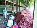 नाफेडचा कांदा दिल्ली, भुवनेश्वरला - Marathi News | Nafed onion Delhi, Bhubaneswar | Latest nashik News at Lokmat.com