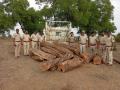 पेठ तालुक्यात वाहनासह लाखाचे खैर लाकूड जप्त - Marathi News | Lakhs of Khair wood along with vehicle seized in Peth taluka | Latest nashik News at Lokmat.com