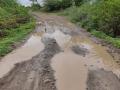 तारु खेडले गवळी वस्ती रस्ता पाण्यात - Marathi News | Taru Khedle Gawli Vasti Road in the water | Latest nashik News at Lokmat.com