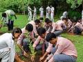 करंजगाव-मांजरगाव रस्त्यालगत वृक्षारोपण - Marathi News |  Plantation in Karanjangaon-Manjargaon Road | Latest nashik News at Lokmat.com
