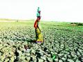 जिल्ह्यातील ३६० गावे पाणीटंचाईच्या उंबरठ्यावर - Marathi News | 360 villages in the district are on the brink of water scarcity | Latest vardha News at Lokmat.com