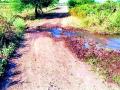 कालव्याचे पाणी रस्त्यावर - Marathi News | Canal water on the road | Latest vardha News at Lokmat.com