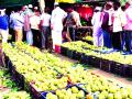 पातूर बनतेय ‘सीताफळ नगरी ’ - Marathi News | Custurd Apple of Patur city become famous accross the Vidarbha | Latest akola News at Lokmat.com