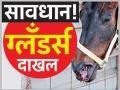 -तर माणसांनाही द्यावे लागेल मरण - Marathi News | Only the people will have to give death | Latest amravati News at Lokmat.com