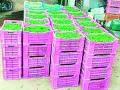 भाजीपाला उत्पादक शेतकऱ्यांवर कोरोनाचा बडगा - Marathi News | Corona's bowl on vegetable growing farmers | Latest bhandara News at Lokmat.com