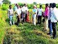 धान उत्पादक शेतकºयांना एसआरटी पद्धत ठरणार वरदान - Marathi News | Growers will be considered as SRT method for paddy production farmers | Latest bhandara News at Lokmat.com