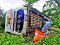 तोरंगण घाटात बस उलटली - Marathi News |  The bus fell into the Tarangan Ghat | Latest nashik News at Lokmat.com