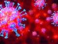 सिन्नर तालुक्यात एका दिवसात सर्वाधिक २९ कोरोना बाधित - Marathi News | Sinnar taluka has the highest number of 29 corona infections in a single day | Latest nashik News at Lokmat.com