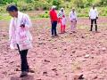 पेरलेल्या बियाण्यांचा शेतकऱ्यांनाच ‘खो’ - Marathi News | 'Kho' of sown seeds to farmers | Latest chandrapur News at Lokmat.com
