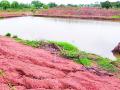 जलयुक्त शिवार अभियानाने जिल्ह्यातील पाणी पातळीत वाढ - Marathi News | Water level increase in district water level | Latest chandrapur News at Lokmat.com