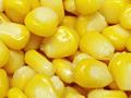 यावल तालुक्यात दिडशेवर शेतकऱ्यांचा मका घरात पडून - Marathi News | In Yaval taluka, half a dozen farmers' maize fell in the house | Latest jalgaon News at Lokmat.com
