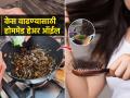 केस गळून गळून पातळ झाले? वापरा १ खास तेल, लांबसडक वाढतील केस-दिसाल सुंदर - Marathi News | Home made Ayurvedic hair oil for hair growth : Hair loss and thinning? Use 1 special oil, hair will grow long and look beautiful | Latest sakhi News at Lokmat.com