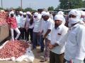 आजपासून कांदा लिलाव सुरू - Marathi News | Onion auction starts from today | Latest nashik News at Lokmat.com