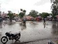 तुरळक पावासामुळे खरीपाला जीवदान - Marathi News | Rapid rainfall causes kharif life | Latest nashik News at Lokmat.com