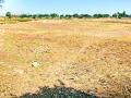 गावालगतचे तलाव कोरडे - Marathi News | Gawl lake dry | Latest gadchiroli News at Lokmat.com
