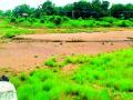 पावसाचे दोन नक्षत्र संपूनही गाढवी नदी कोरडीठाक - Marathi News | The gadhavi river is dry even after two rainy seasons | Latest gadchiroli News at Lokmat.com