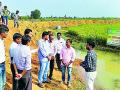 धान पिकाच्या शेतीतच मत्स्यपालन - Marathi News | Fishery in paddy crop | Latest gadchiroli News at Lokmat.com