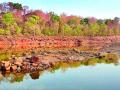 जिल्ह्यातील जलाशये झाली ड्राय - Marathi News | The water reservoirs in the district were dry | Latest gondia News at Lokmat.com