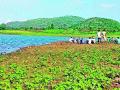 हरणबारी धरणात बुडालेल्या युवकाचा मृतदेह सापडला - Marathi News | The body of a youth drowned in Haranbari dam was found | Latest nashik News at Lokmat.com
