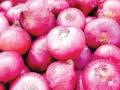 कांदा आवक वाढली, भावात मात्र घसरण - Marathi News | Onion inflows increased, but prices declined | Latest nashik News at Lokmat.com